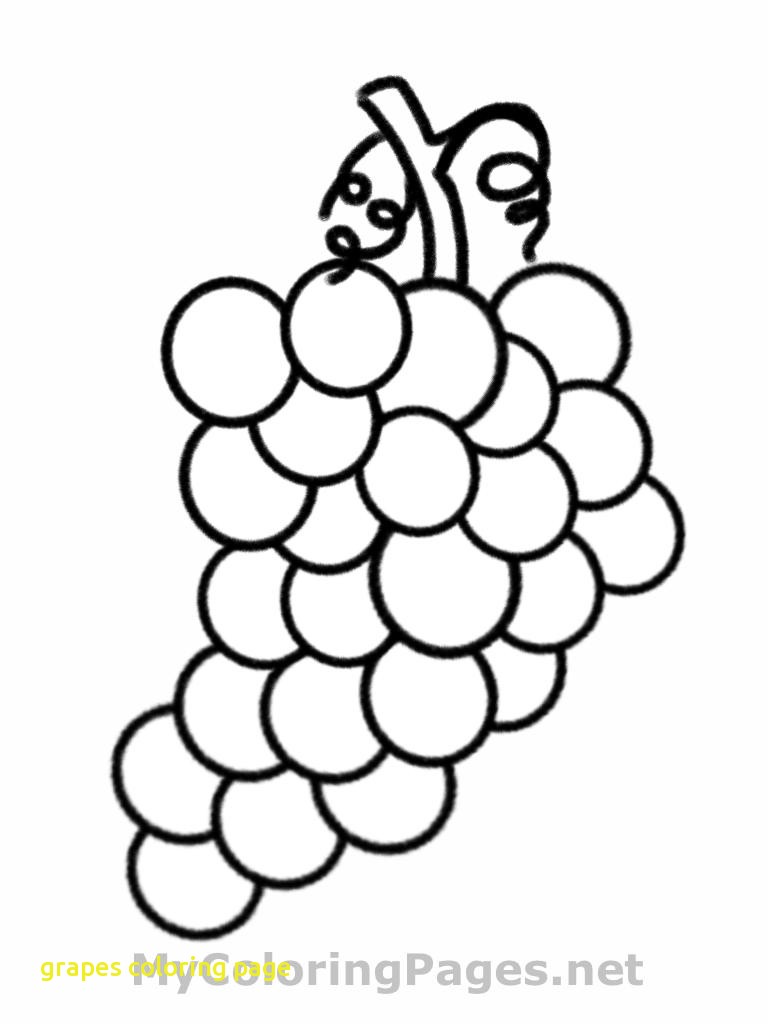 768x1024 Purple Grapes Coloring Page Grape Vine Free Printable Pages