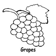 230x230 Top Free Printable Lovely Grapes Coloring Pages Online