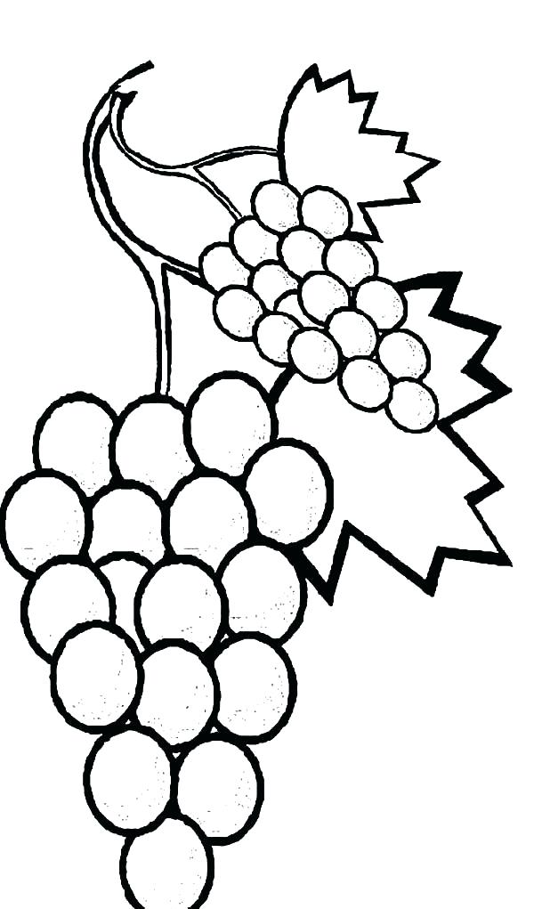 600x1021 Vine Coloring Pages Page Image Images Watermelon Coloring Pages