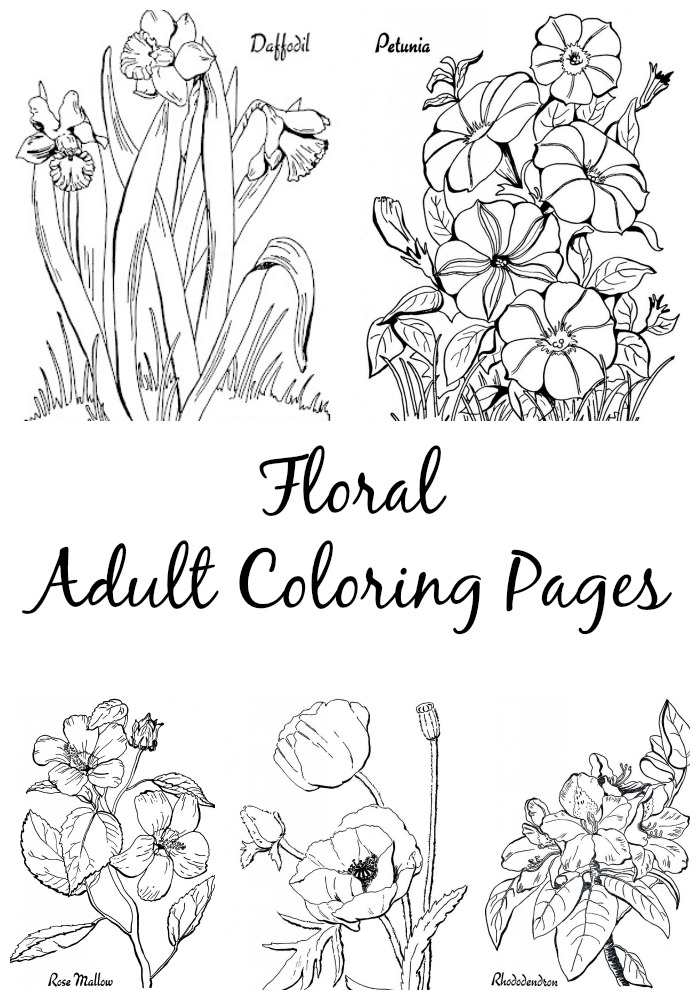 700x1000 Floral Adult Coloring Pages