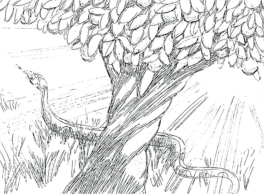 1024x751 Adam Eve Coloring Pages Graphic Coloring Pages Image Good