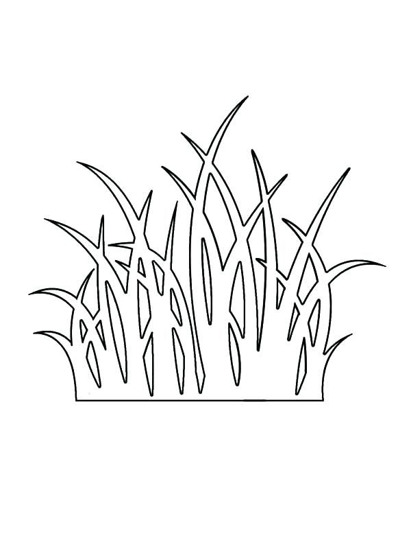 600x800 Grass Coloring Page Grass Outline Coloring Pages Ant