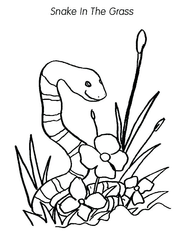 600x776 Snake Color Page Grass Snake In The Grass Coloring Pages