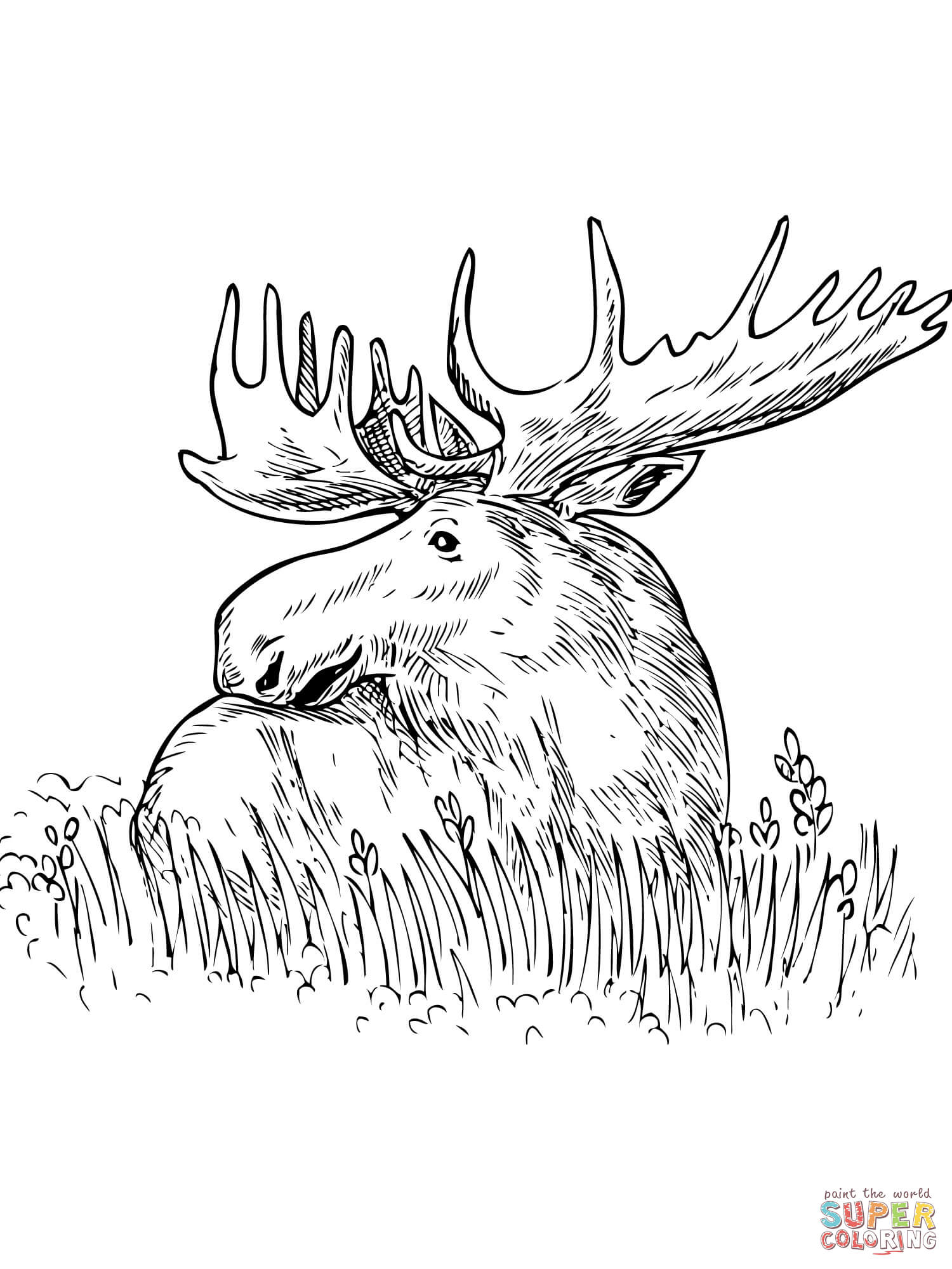 1500x2000 Grass Coloring Page
