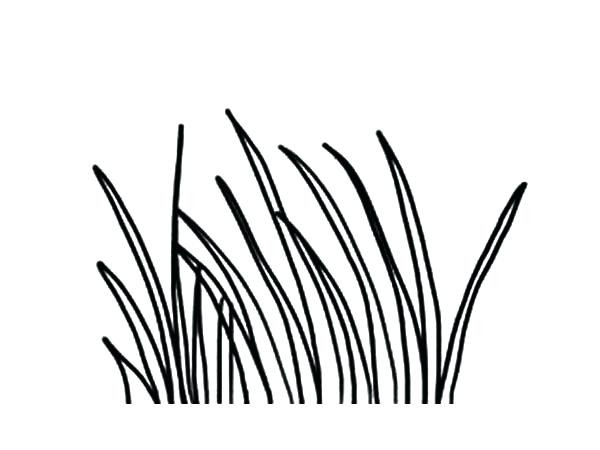 600x450 Grass Coloring Pages Chagarkennels Com Free