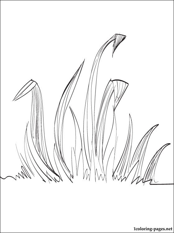 560x750 Grass Coloring Page Coloring Pages