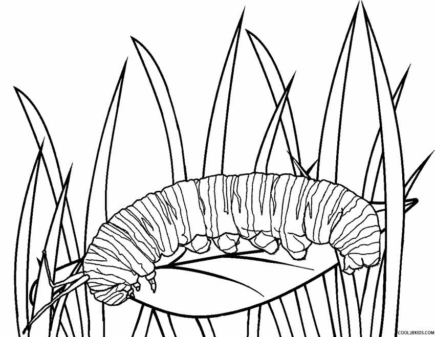 850x659 Printable Caterpillar Coloring Pages For Kids