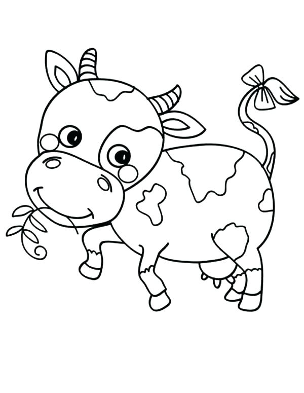 600x775 Free Cow Coloring Pages