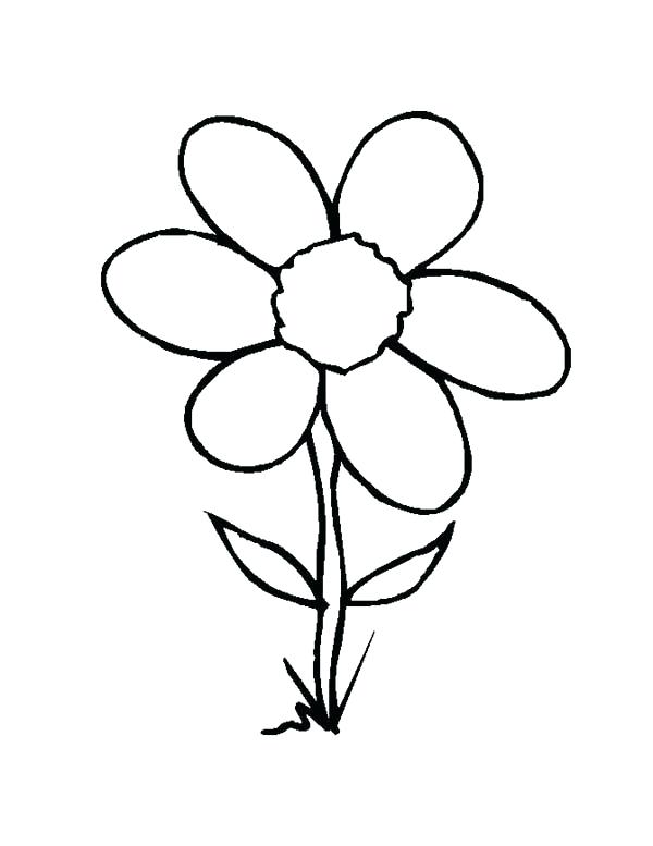 600x777 Flowering Coloring Pages Wild Grass Flower Coloring Page Free