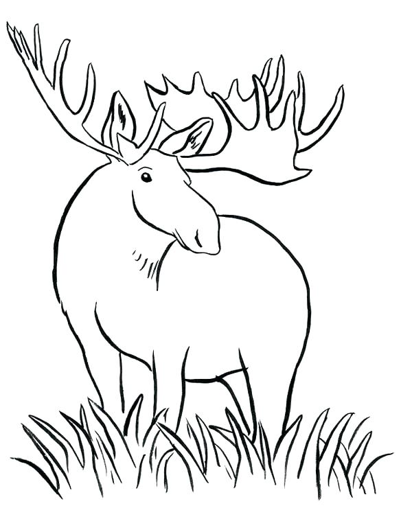 600x775 Grass Coloring Pages
