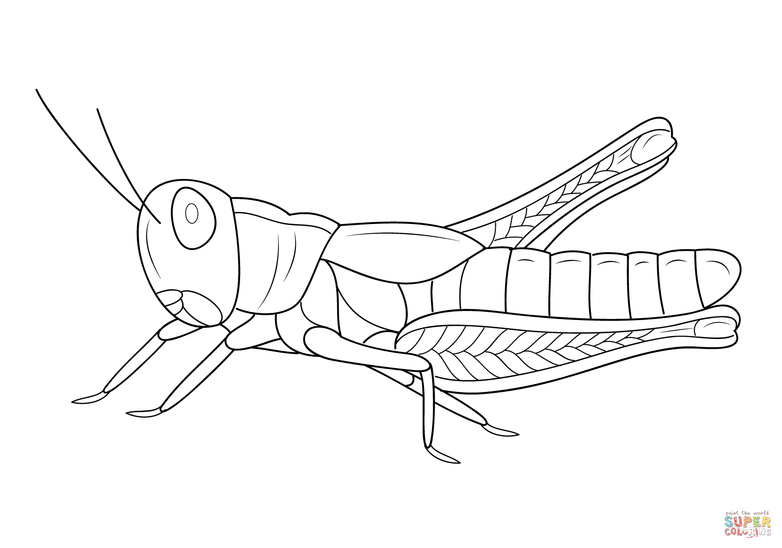 1612x1130 Grasshopper Coloring Page Free Printable Pages