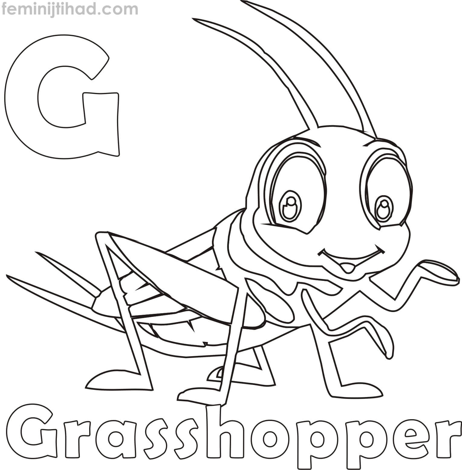 1528x1553 Grasshopper Coloring Pages Coloring Pages For Kids