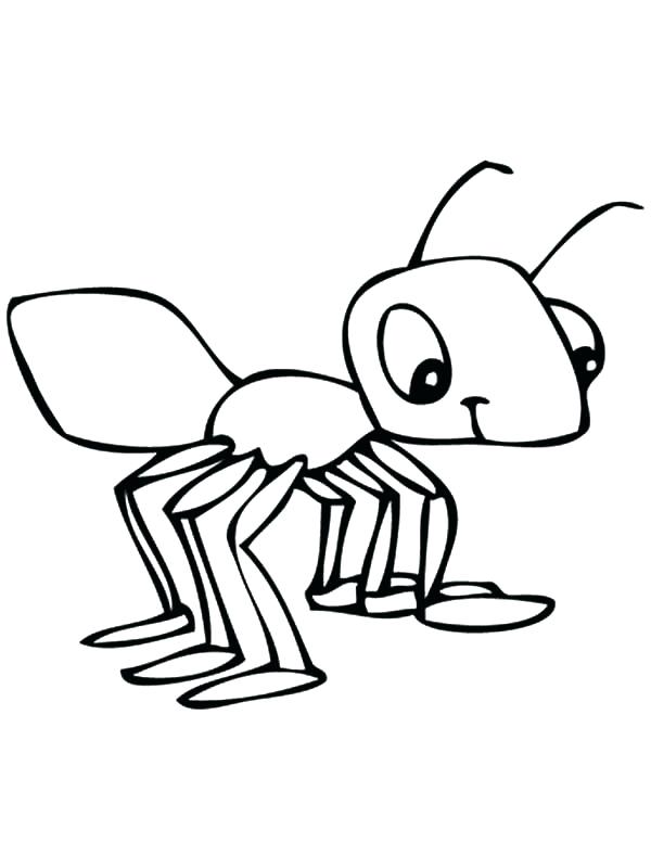 600x800 Grasshopper Coloring Pages Ants Coloring Pages Meat Eater Ant