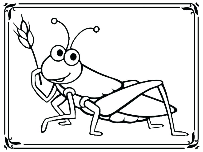 863x647 Grasshopper Coloring Pages Grasshopper Coloring Pages Stunning Ant