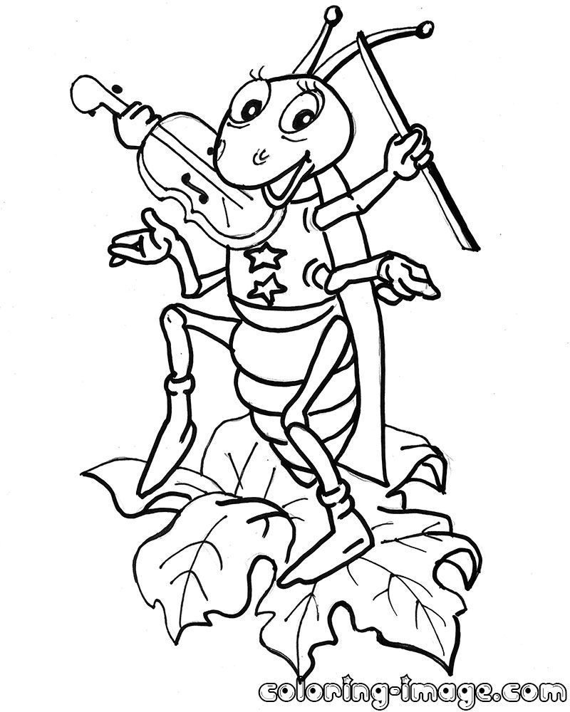 800x1000 Grasshopper Coloring Page