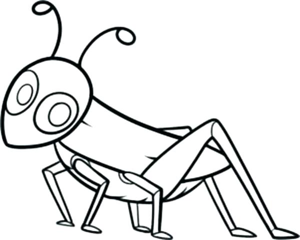 600x479 Grasshopper Picture Coloring Page Wesmec Site