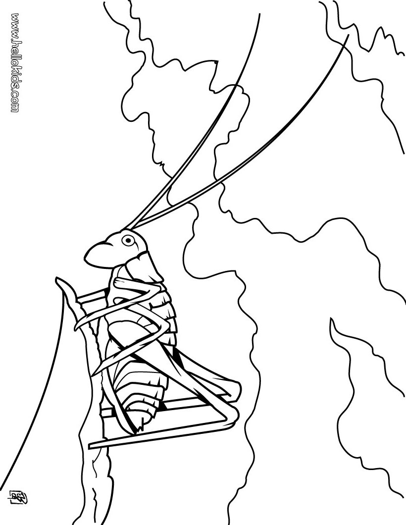 820x1060 Grasshopper Coloring Page
