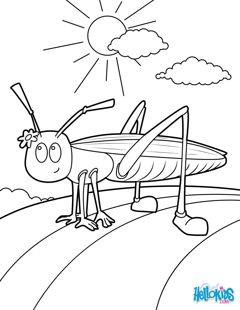 820x1060 Grasshopper Coloring Pages