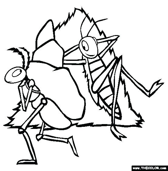 554x565 Grasshopper Coloring Pages