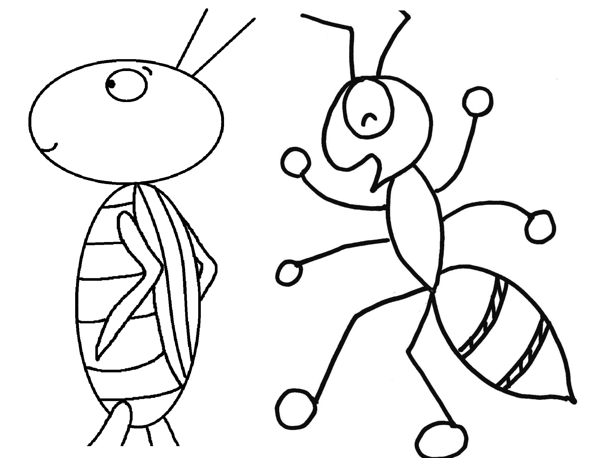 2040x1580 Ants Clipart Coloring Page