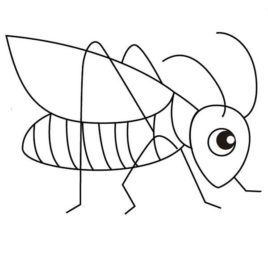 268x268 Cute Little Grasshopper Coloring Page Download Print Online