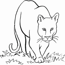 230x230 Grassland Animals Coloring Pages Image Animals Gnu Coloring Pages