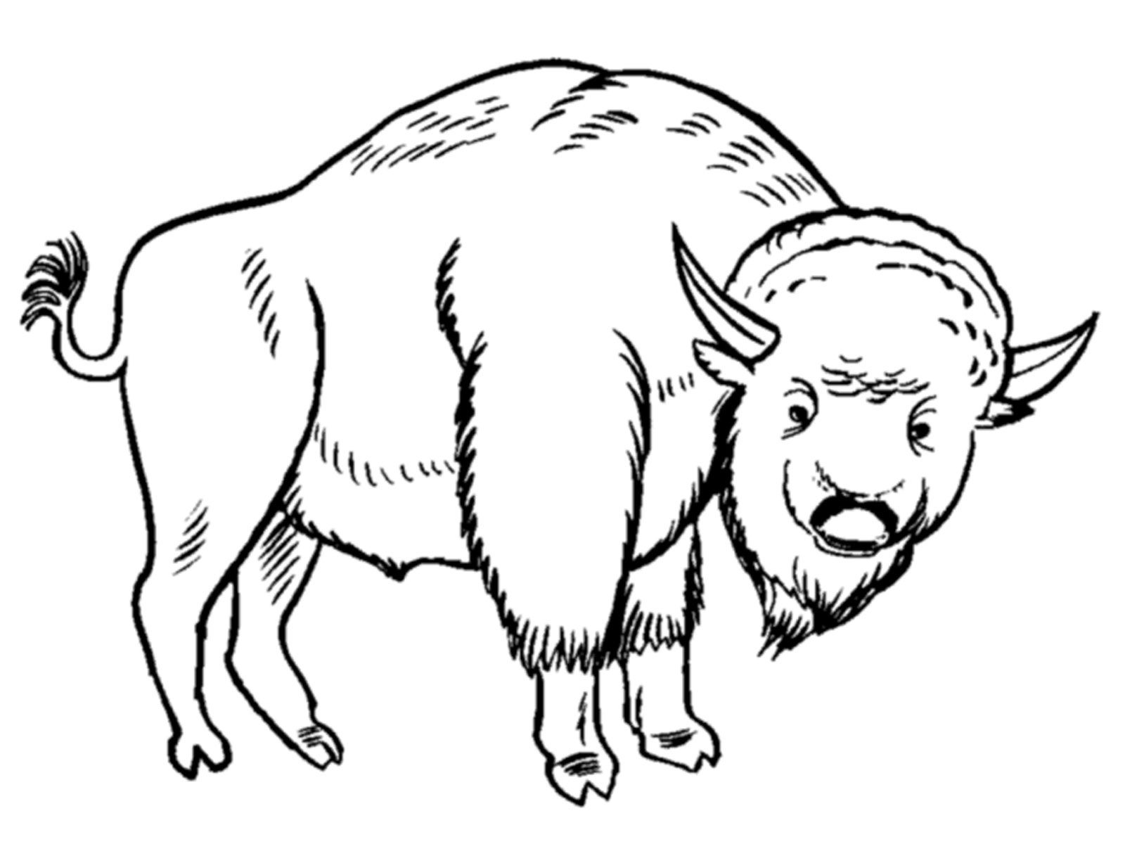 1600x1200 The Best Grassland Coloring Pages Pics Of Animal Style And Sheet