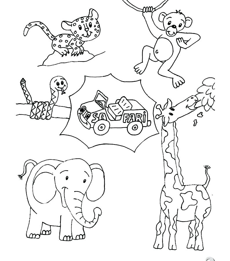 794x900 Animal Coloring Pages Animals Coloring Page Picture Free Free