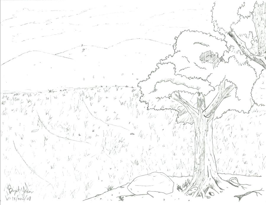 900x695 Grassland Coloring Pages Grassland Valley