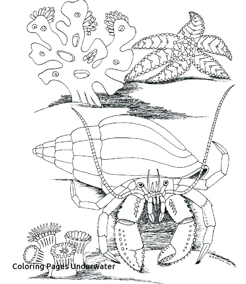 792x914 Grassland Coloring Pages World Coloring Page Underwater Coloring