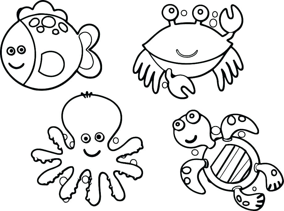 921x683 Ocean Habitat Coloring Pages Ecosystem Coloring Pages Grassland