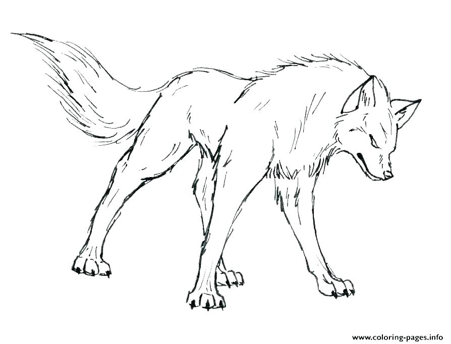 894x682 Gray Wolf Coloring Page Anime Wolf Coloring Pages Wolf Coloring