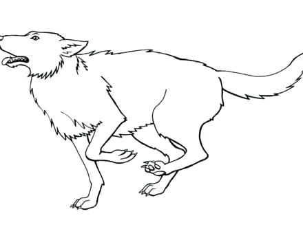 440x330 Gray Wolf Coloring Page Printable Wolf Coloring Pages Wolf Color