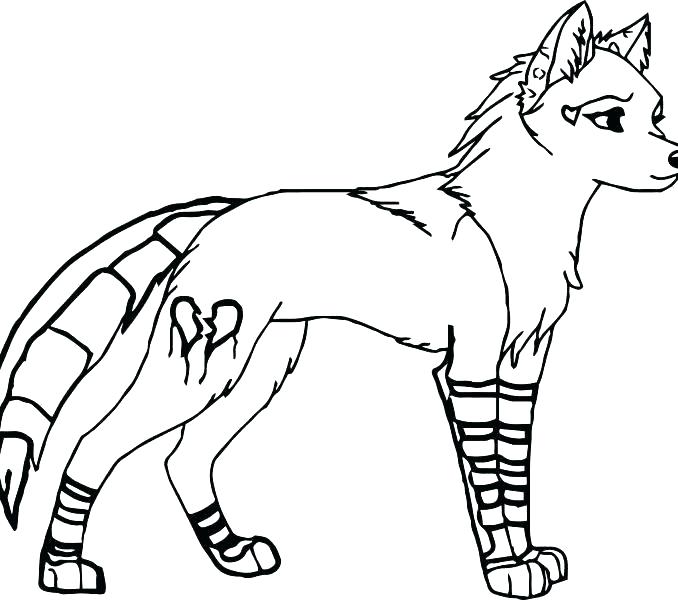 678x600 Coloring Pages Wolves Coloring Pages Wolves Gray Wolf Coloring