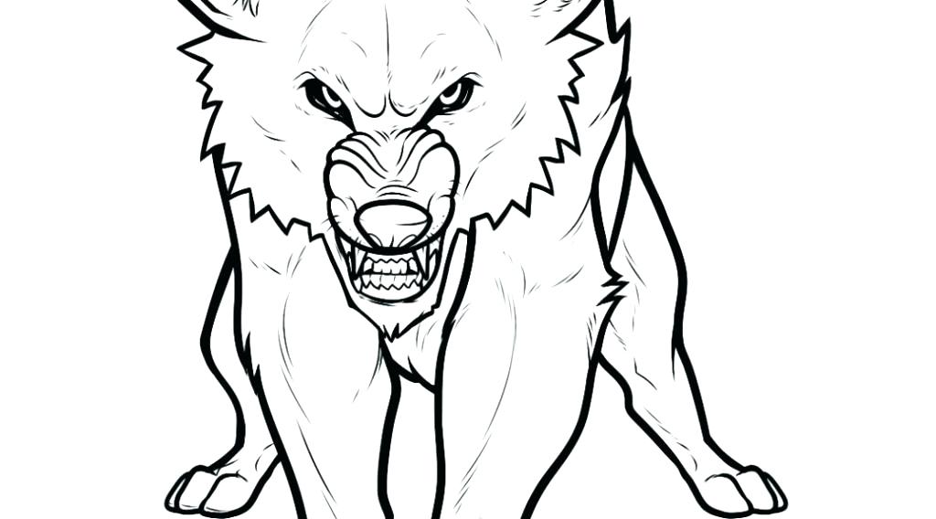 1024x568 Coloring Pages Wolves Wolf Coloring Sheets Gray Wolf Coloring Page