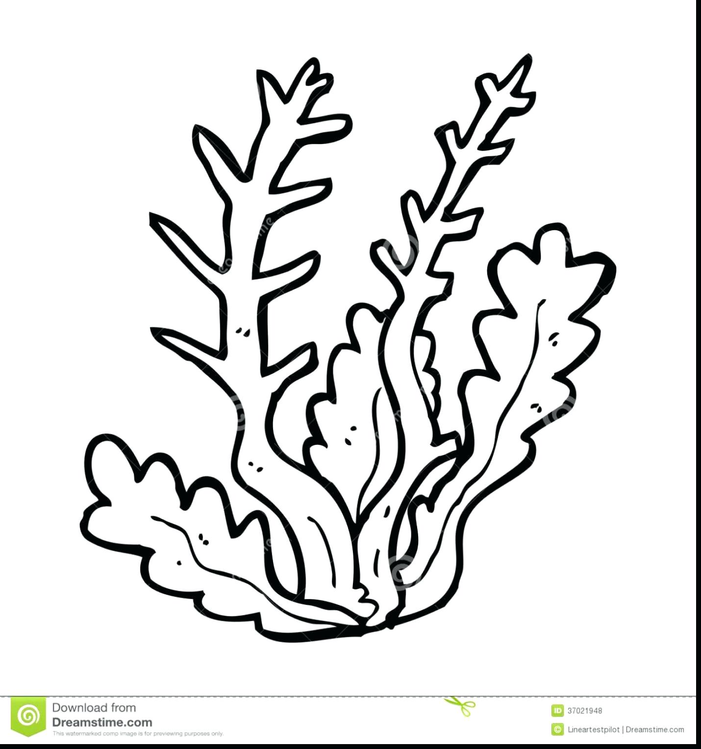1430x1529 Coloring Page Coral Reef Coloring Pages Great Barrier Printable