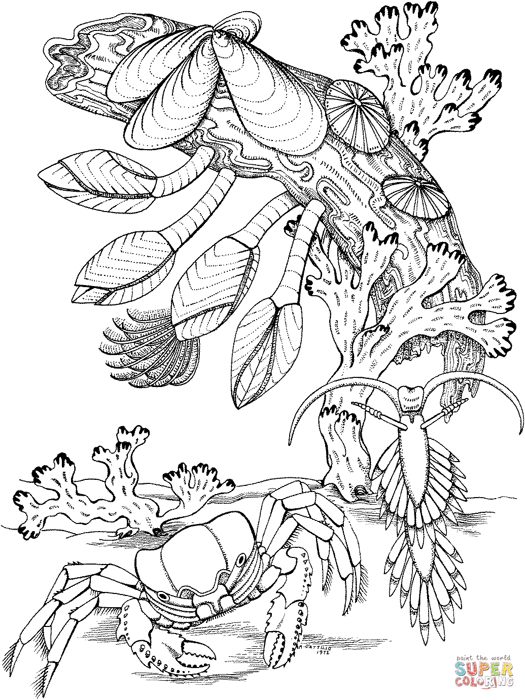 1035x1380 Best Of Simple Coral Reef Coloring Pages Gallery Free Coloring Pages