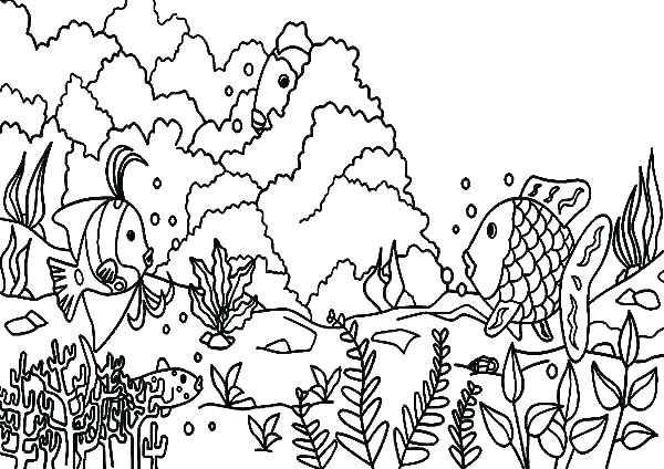 600x424 Coral Reef Coloring Page Coral Coloring Pages Coral Reef Coloring