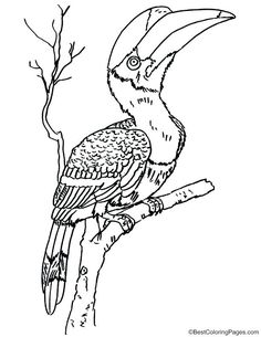 236x305 Great Blue Heron Coloring Page