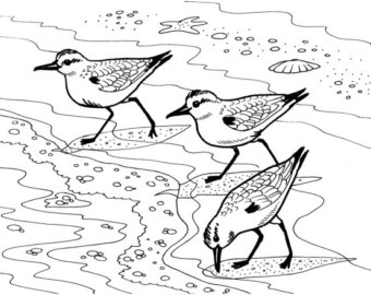 340x270 Great Blue Heron Embroidery Pattern Coloring Page