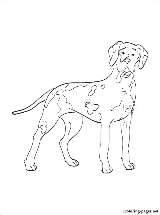 560x750 Magnificent Great Coloring Pages Page With Great Dane Coloring
