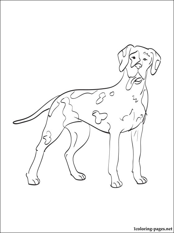 560x750 Great Dane Coloring Page Coloring Pages