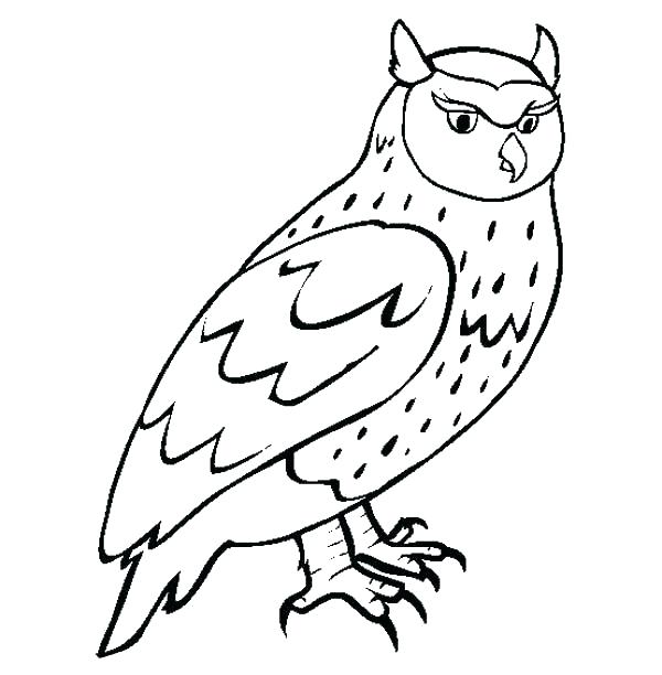 600x612 Great Horned Owl Coloring Page Great Horned Owl Coloring Page