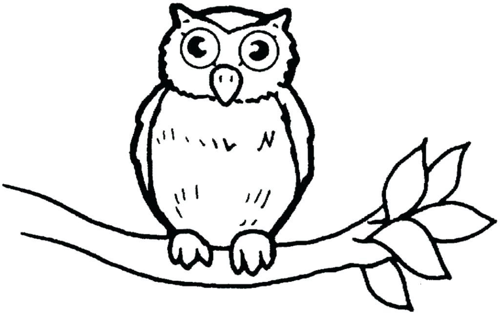 1024x643 Owl Coloring Page Great Horned Owl Coloring Page Horned Owl