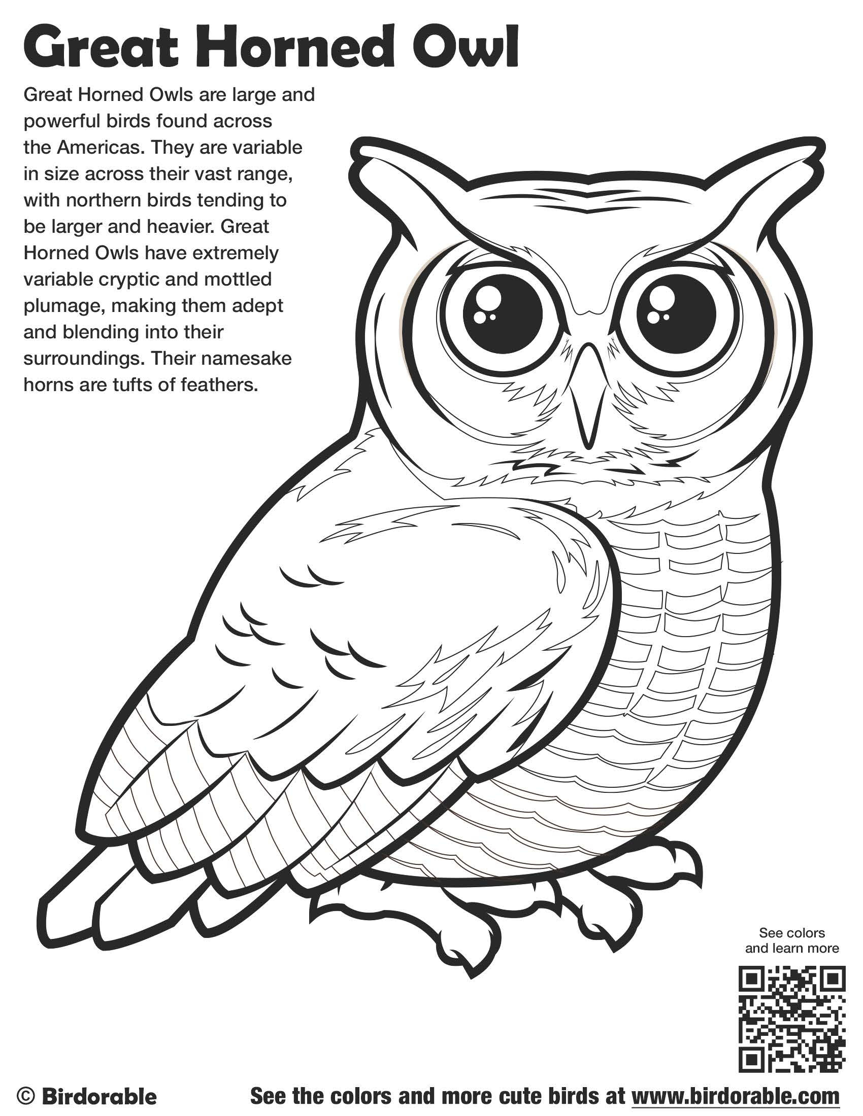 1700x2200 Authentic Great Horned Owl Coloring Page Brigh
