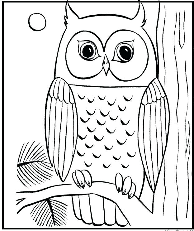 623x741 Owl In A Tree Coloring Page Coloring Page Of An Owl Great Horned