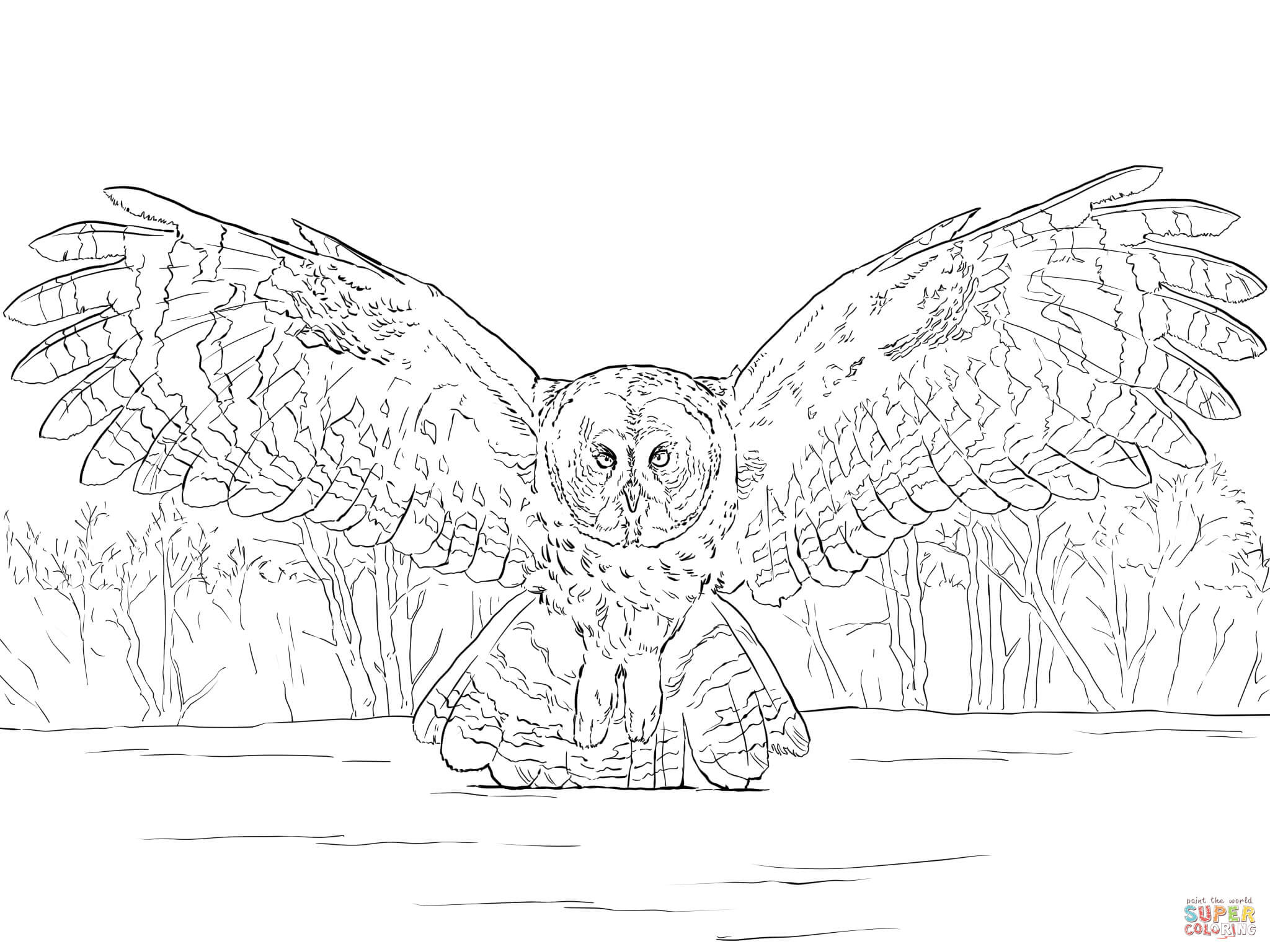 2048x1536 Practical Great Horned Owl Coloring Page Grey Flying Free