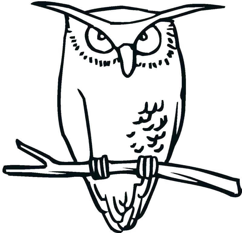 800x770 Printable Owl Coloring Pages Owl Colouring Pages Great Horned Owl
