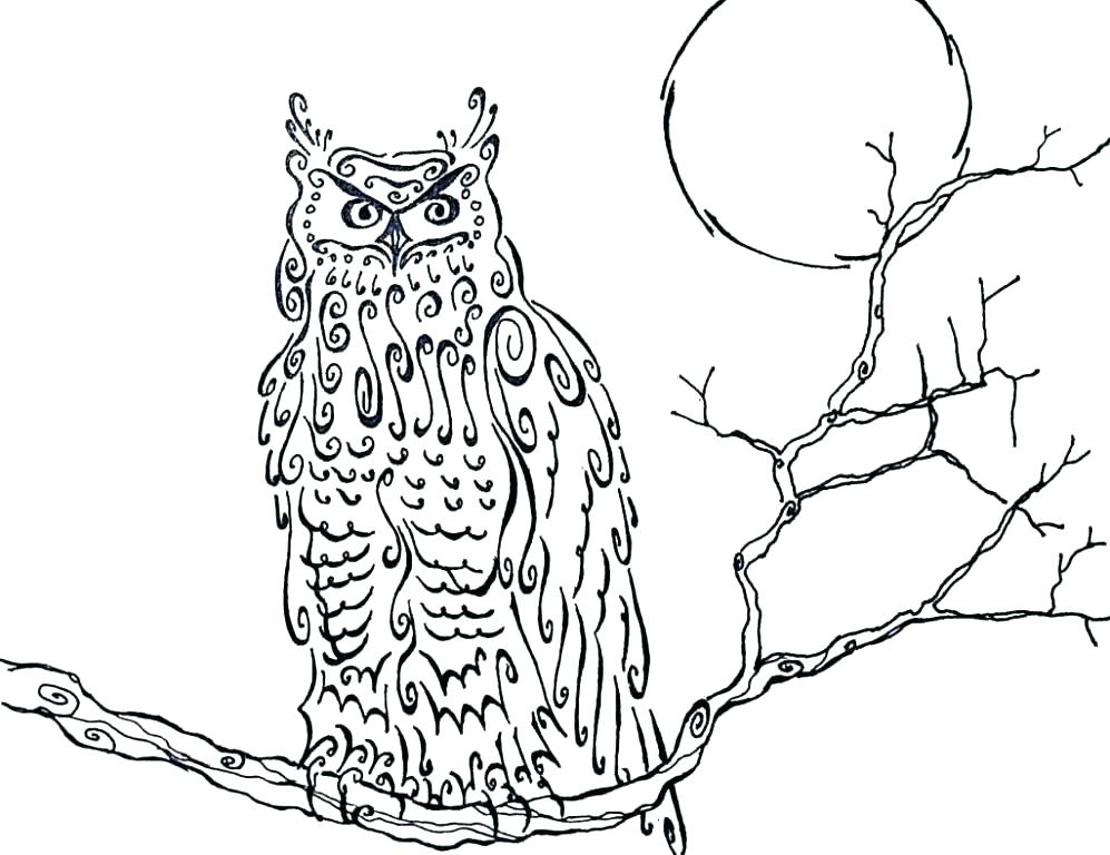 997x768 Great Horned Owl Coloring Page