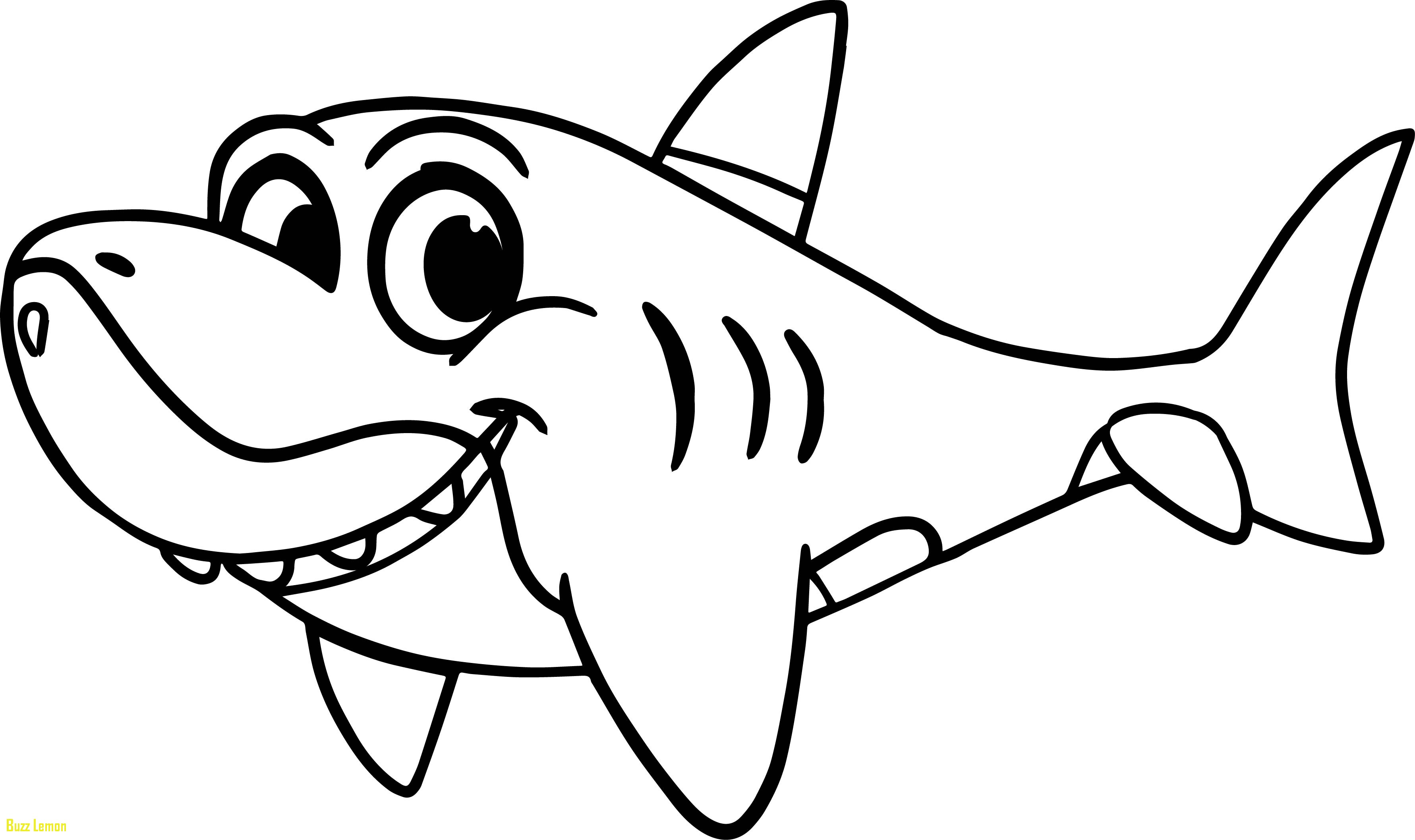 3562x2116 Beautiful Coloring Page Shark Buzz Coloring